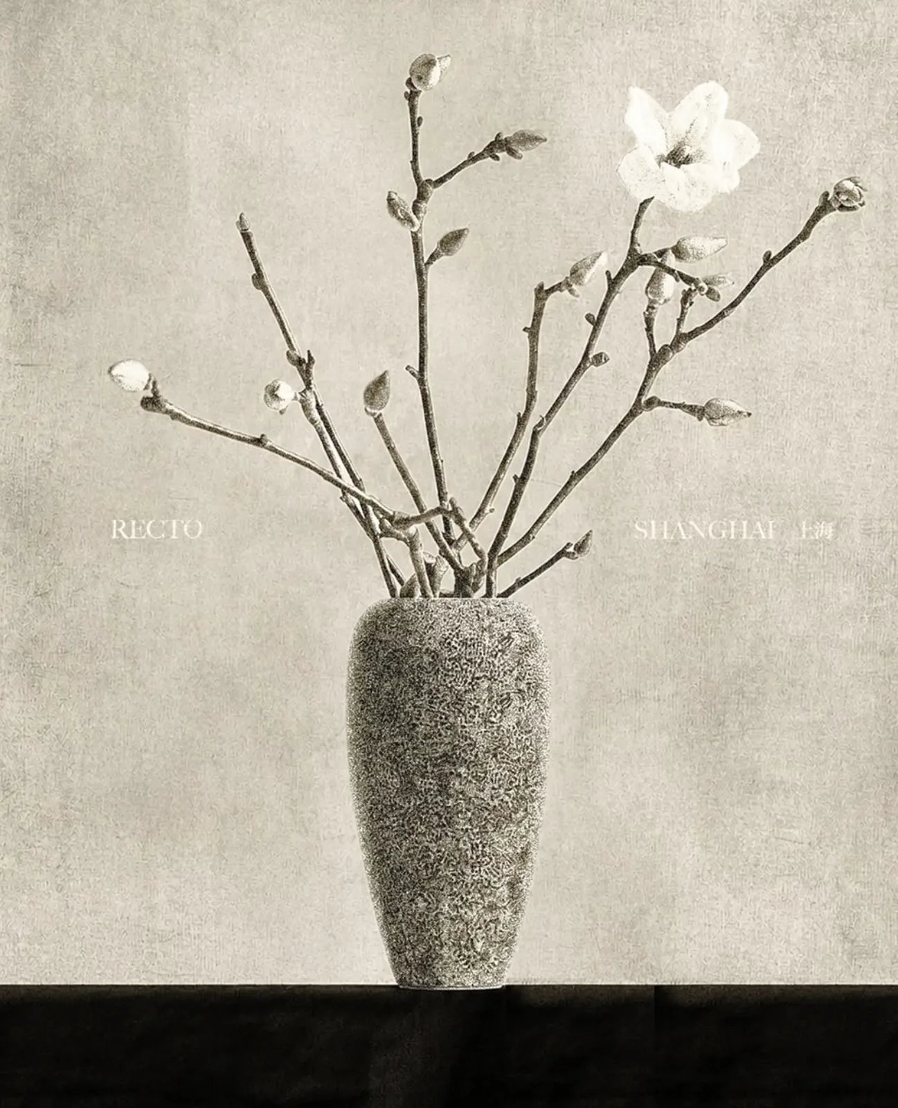 Vase en laque coquille d'œuf avec branches de magnolia, visuel Recto Shanghai